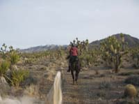 /international/USA/2009EMS/gallery/johnt/thumbnails/EasternMojave_EMS_150.jpg
