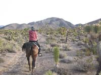 /international/USA/2009EMS/gallery/johnt/thumbnails/EasternMojave_EMS_151.jpg