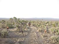 /international/USA/2009EMS/gallery/johnt/thumbnails/EasternMojave_EMS_157.jpg