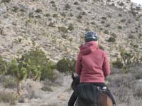 /international/USA/2009EMS/gallery/johnt/thumbnails/EasternMojave_EMS_169.jpg