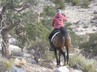 /international/USA/2009EMS/gallery/johnt/thumbnails/EasternMojave_EMS_175.jpg