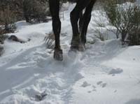 /international/USA/2009EMS/gallery/johnt/thumbnails/EasternMojave_EMS_197.jpg
