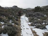 /international/USA/2009EMS/gallery/johnt/thumbnails/EasternMojave_EMS_219.jpg