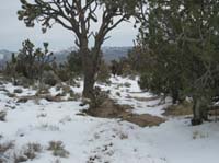/international/USA/2009EMS/gallery/johnt/thumbnails/EasternMojave_EMS_233.jpg