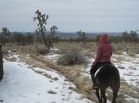 /international/USA/2009EMS/gallery/johnt/thumbnails/EasternMojave_EMS_238.jpg