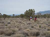 /international/USA/2009EMS/gallery/johnt/thumbnails/EasternMojave_EMS_243.jpg