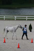 /international/USA/2009KentuckyHorsePark/gallery/02/thumbnails/0910KYC_0108.jpg