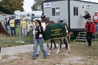 /international/USA/2009KentuckyHorsePark/gallery/02/thumbnails/0910KYC_0126.jpg