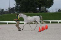 /international/USA/2009KentuckyHorsePark/gallery/02/thumbnails/0910KYC_0146.jpg