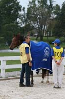 /international/USA/2009KentuckyHorsePark/gallery/02/thumbnails/0910KYC_0155.jpg