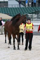 /international/USA/2009KentuckyHorsePark/gallery/02/thumbnails/0910KYC_0169.jpg