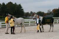 /international/USA/2009KentuckyHorsePark/gallery/02/thumbnails/0910KYC_0172.jpg