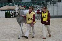 /international/USA/2009KentuckyHorsePark/gallery/03/thumbnails/0910KYC_0228.jpg