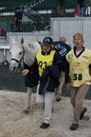 /international/USA/2009KentuckyHorsePark/gallery/03/thumbnails/0910KYC_0249.jpg