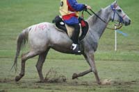 /international/USA/2009KentuckyHorsePark/gallery/09/thumbnails/0910KYC_0644.jpg