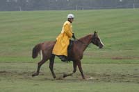 /international/USA/2009KentuckyHorsePark/gallery/09/thumbnails/0910KYC_0646.jpg