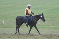 /international/USA/2009KentuckyHorsePark/gallery/09/thumbnails/0910KYC_0648.jpg