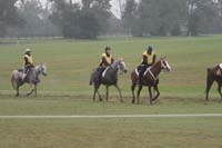 /international/USA/2009KentuckyHorsePark/gallery/09/thumbnails/0910KYC_0649.jpg