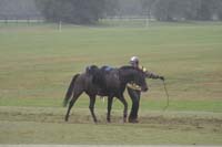 /international/USA/2009KentuckyHorsePark/gallery/09/thumbnails/0910KYC_0652.jpg