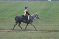 /international/USA/2009KentuckyHorsePark/gallery/09/thumbnails/0910KYC_0653.jpg