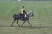 /international/USA/2009KentuckyHorsePark/gallery/09/thumbnails/0910KYC_0655.jpg