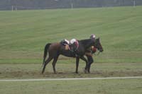 /international/USA/2009KentuckyHorsePark/gallery/09/thumbnails/0910KYC_0657.jpg