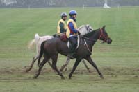 /international/USA/2009KentuckyHorsePark/gallery/09/thumbnails/0910KYC_0672.jpg