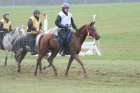 /international/USA/2009KentuckyHorsePark/gallery/09/thumbnails/0910KYC_0678.jpg
