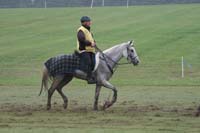 /international/USA/2009KentuckyHorsePark/gallery/09/thumbnails/0910KYC_0681.jpg
