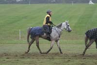 /international/USA/2009KentuckyHorsePark/gallery/09/thumbnails/0910KYC_0683.jpg
