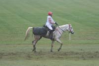 /international/USA/2009KentuckyHorsePark/gallery/09/thumbnails/0910KYC_0690.jpg