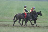 /international/USA/2009KentuckyHorsePark/gallery/09/thumbnails/0910KYC_0692.jpg