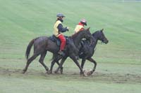 /international/USA/2009KentuckyHorsePark/gallery/09/thumbnails/0910KYC_0693.jpg