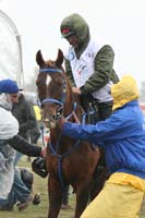 /international/USA/2009KentuckyHorsePark/gallery/09/thumbnails/0910KYC_0698.jpg