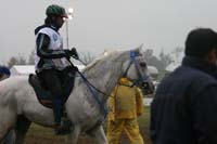 /international/USA/2009KentuckyHorsePark/gallery/09/thumbnails/0910KYC_0699.jpg