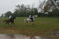 /international/USA/2009KentuckyHorsePark/gallery/09/thumbnails/0910KYC_0707.jpg