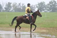 /international/USA/2009KentuckyHorsePark/gallery/10/thumbnails/0910KYC_0726.jpg