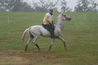 /international/USA/2009KentuckyHorsePark/gallery/10/thumbnails/0910KYC_0733.jpg