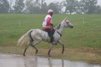 /international/USA/2009KentuckyHorsePark/gallery/10/thumbnails/0910KYC_0736.jpg