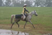 /international/USA/2009KentuckyHorsePark/gallery/10/thumbnails/0910KYC_0739.jpg