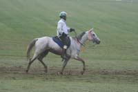 /international/USA/2009KentuckyHorsePark/gallery/10/thumbnails/0910KYC_0766.jpg