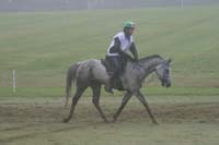 /international/USA/2009KentuckyHorsePark/gallery/10/thumbnails/0910KYC_0774.jpg