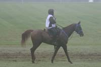 /international/USA/2009KentuckyHorsePark/gallery/10/thumbnails/0910KYC_0777.jpg