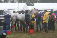 /international/USA/2009KentuckyHorsePark/gallery/10/thumbnails/0910KYC_0778.jpg