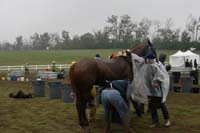 /international/USA/2009KentuckyHorsePark/gallery/10/thumbnails/0910KYC_0781.jpg