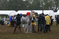 /international/USA/2009KentuckyHorsePark/gallery/10/thumbnails/0910KYC_0783.jpg