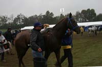 /international/USA/2009KentuckyHorsePark/gallery/10/thumbnails/0910KYC_0785.jpg