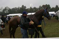 /international/USA/2009KentuckyHorsePark/gallery/10/thumbnails/0910KYC_0786.jpg