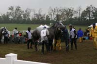 /international/USA/2009KentuckyHorsePark/gallery/10/thumbnails/0910KYC_0787.jpg