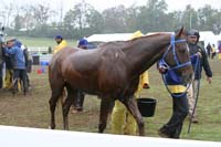 /international/USA/2009KentuckyHorsePark/gallery/10/thumbnails/0910KYC_0788.jpg